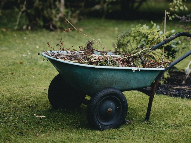 Avviso sospensione raccolta del vegetale 